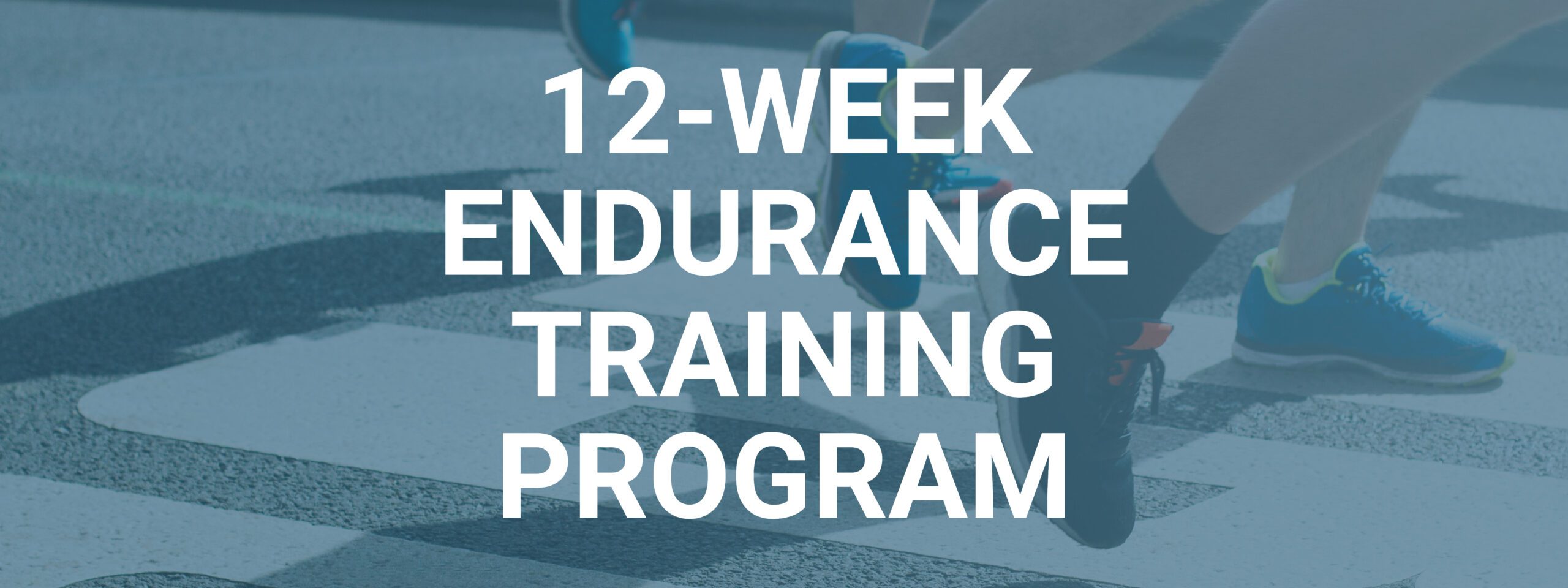 12 week endurance running